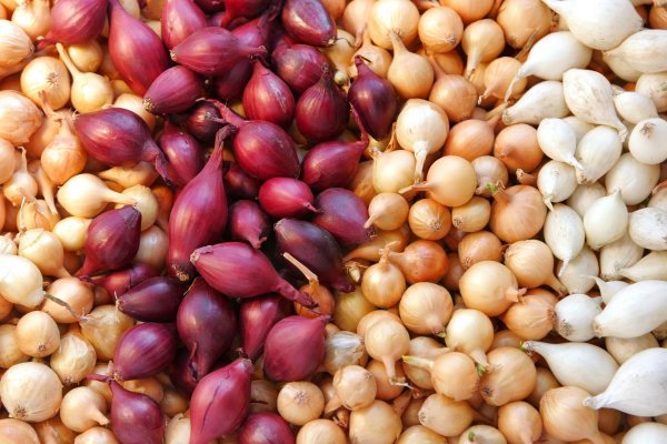 Кракен как войти