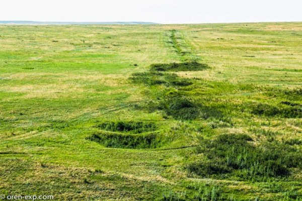 Как зарегаться на кракене