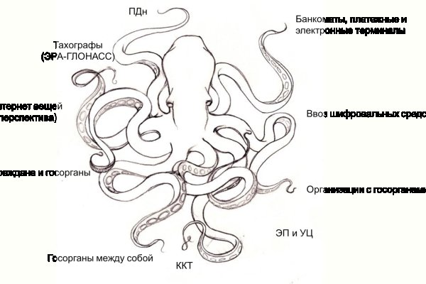 Kraken 13 at